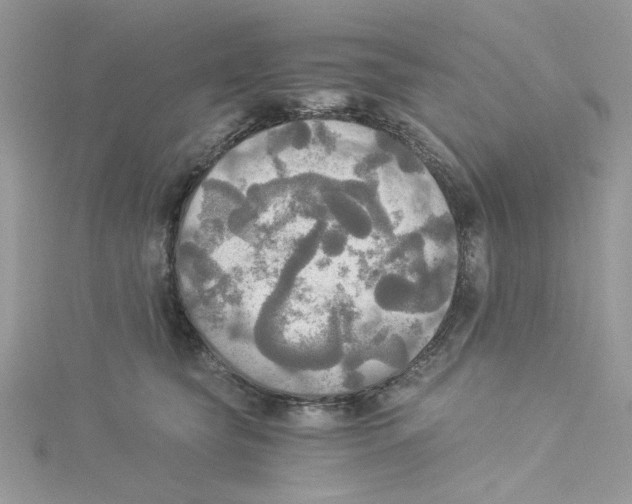 X0000114540565200911161400