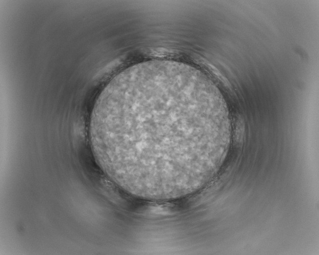 X0000114540569200911161400