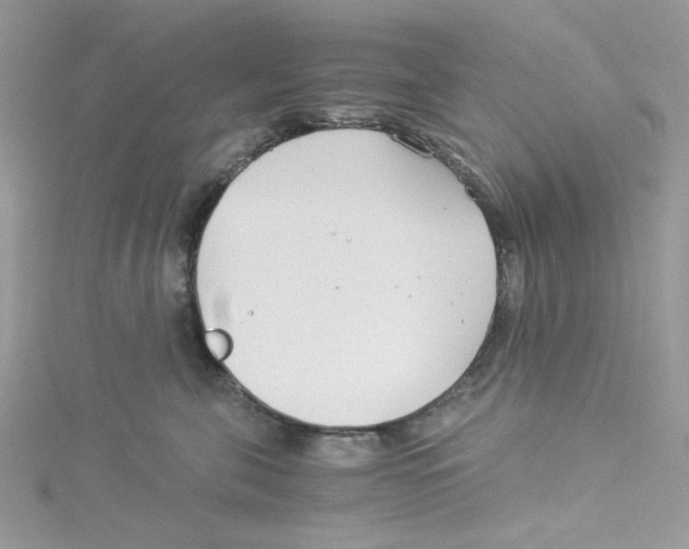 X0000114540571200911161400