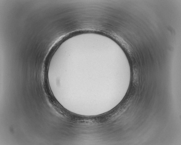 X0000114540580200911161359