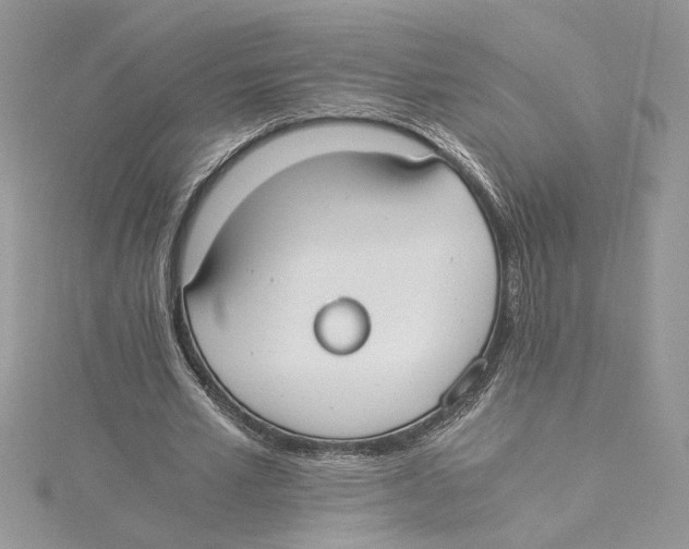 X0000114540581200911161359