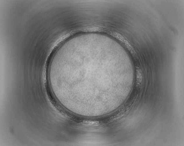 X0000114540582200911161359