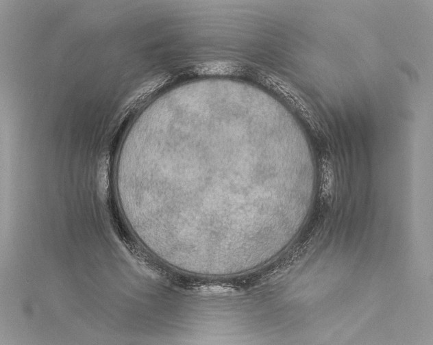 X0000114540586200911161359