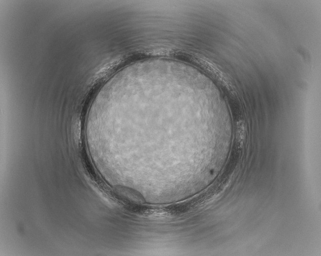 X0000114540589200911161359