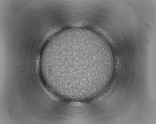 X0000114540590200911161359