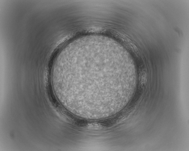 X0000114540591200911161359