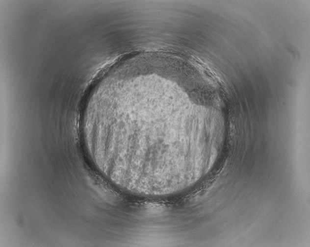 X0000114540592200911161359