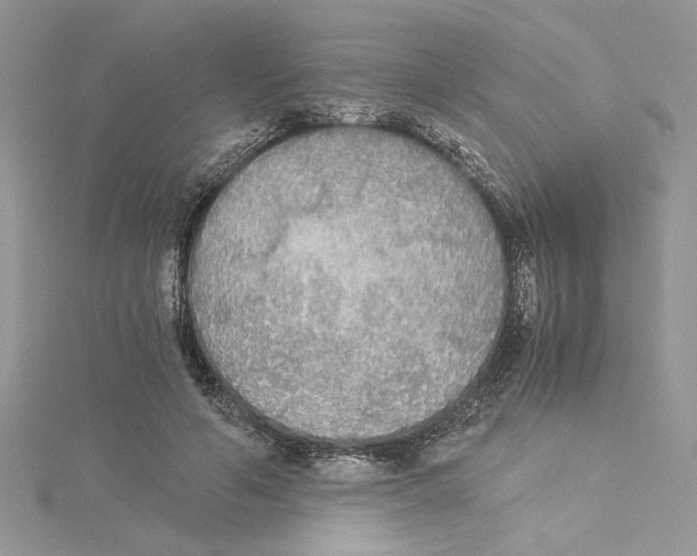 X0000114540594200911161359