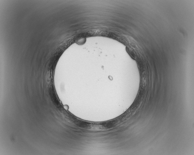 X0000114540605200911161359