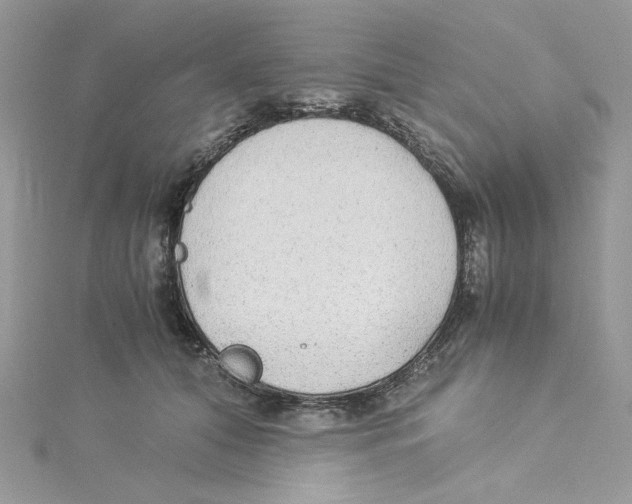 X0000114540608200911161359