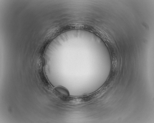 X0000114540609200911161359