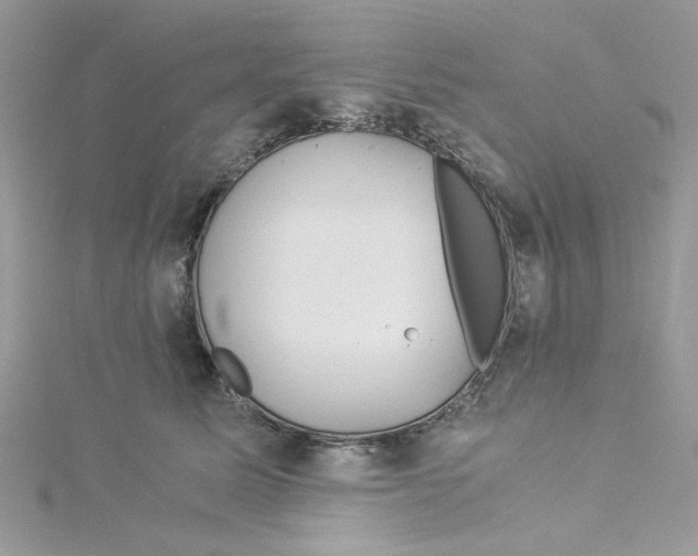 X0000114540611200911161359