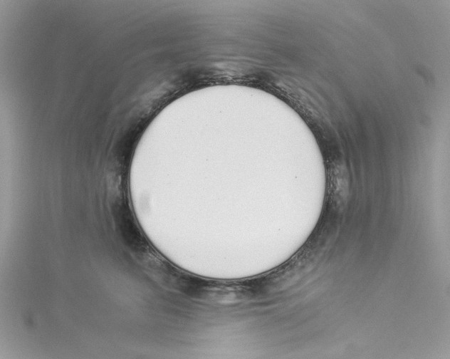 X0000114540615200911161359