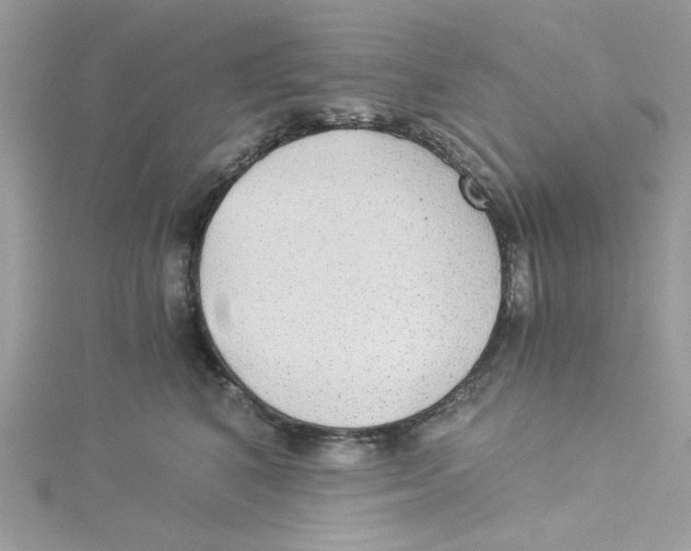 X0000114540616200911161359