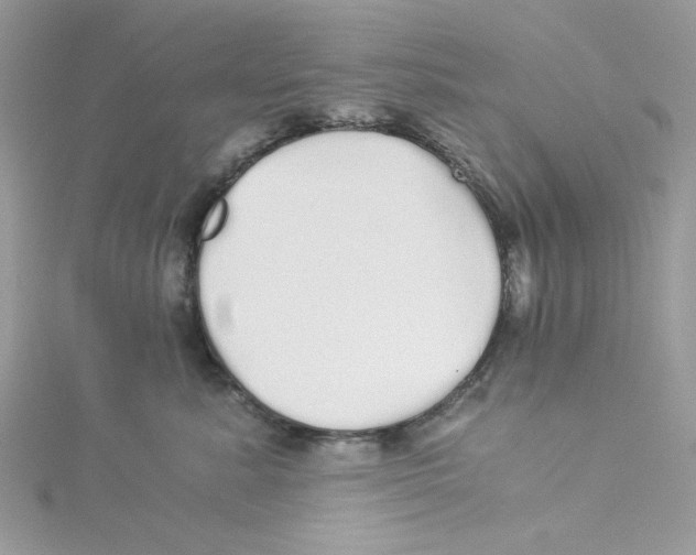 X0000114540619200911161359