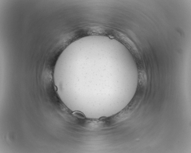 X0000114540621200911161359