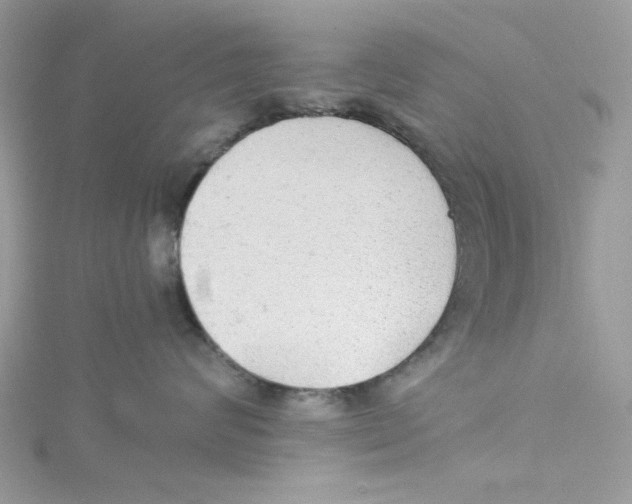 X0000114540624200911161359