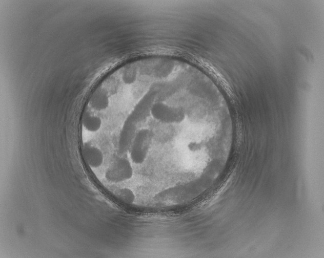 X0000114540625200911161358