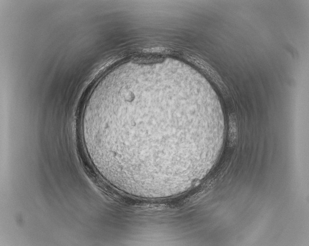 X0000114540626200911161358