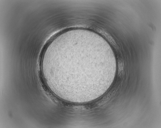 X0000114540628200911161358