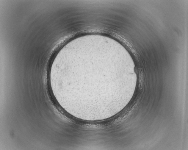 X0000114540629200911161358