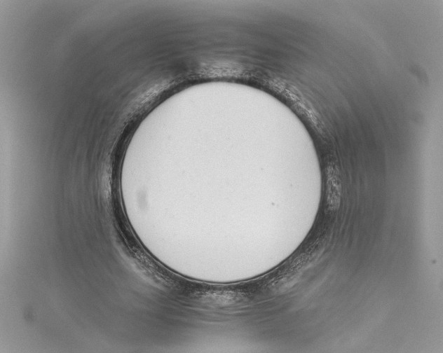 X0000114540631200911161358