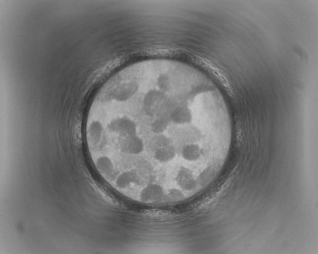 X0000114540633200911161358