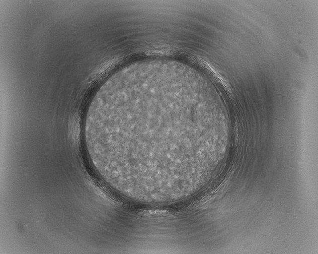 X0000114540637200911161358