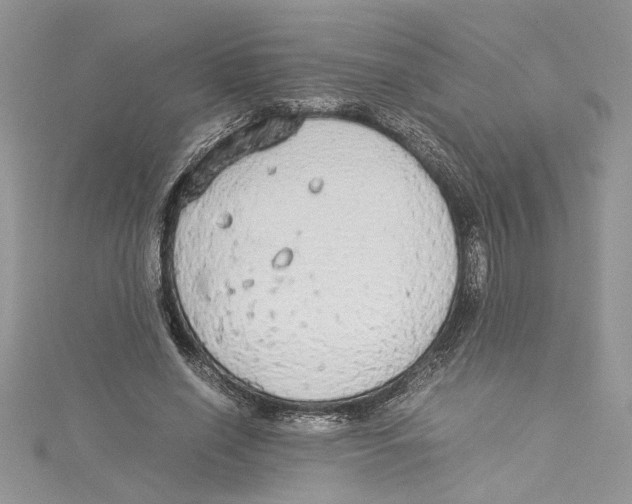 X0000114540638200911161358