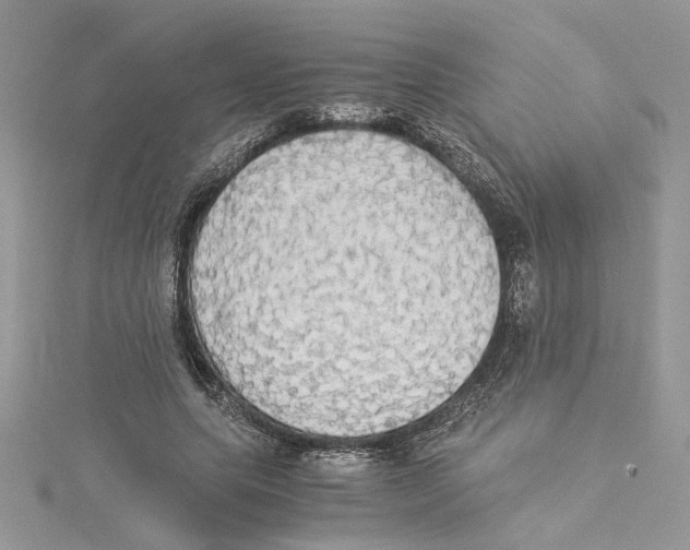 X0000114540639200911161358