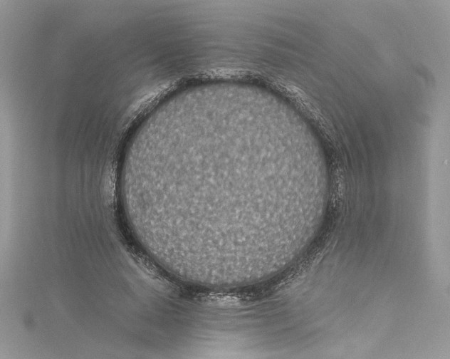 X0000114540640200911161358