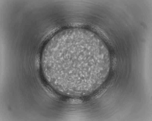 X0000114540644200911161358