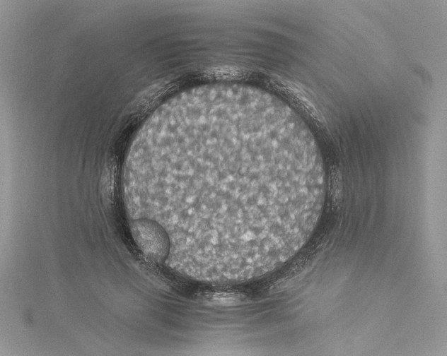 X0000114540645200911161358