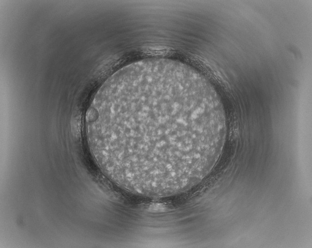 X0000114540647200911161358