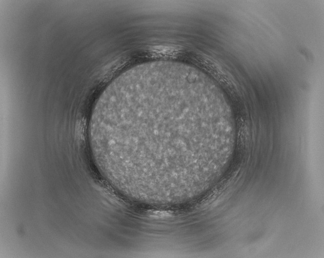 X0000114540649200911161358