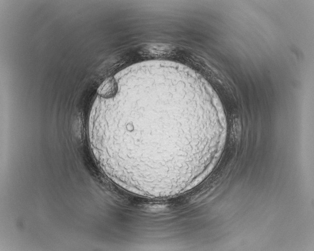 X0000114540651200911161358