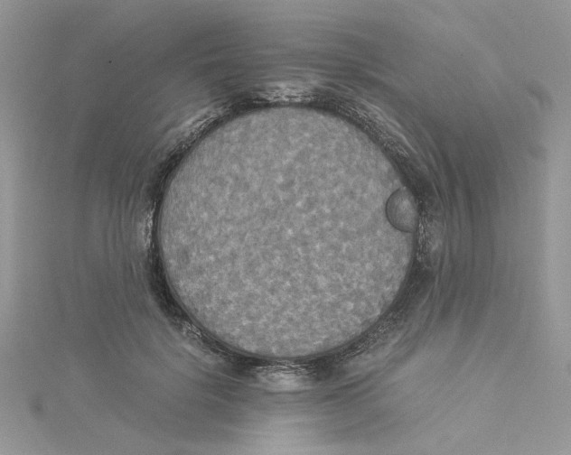 X0000114540652200911161358