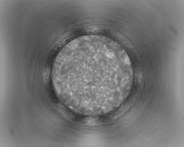 X0000114540660200911161358