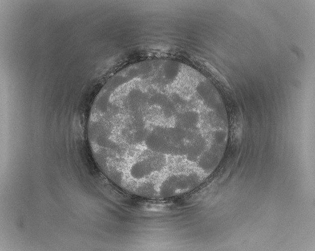 X0000114540661200911161358