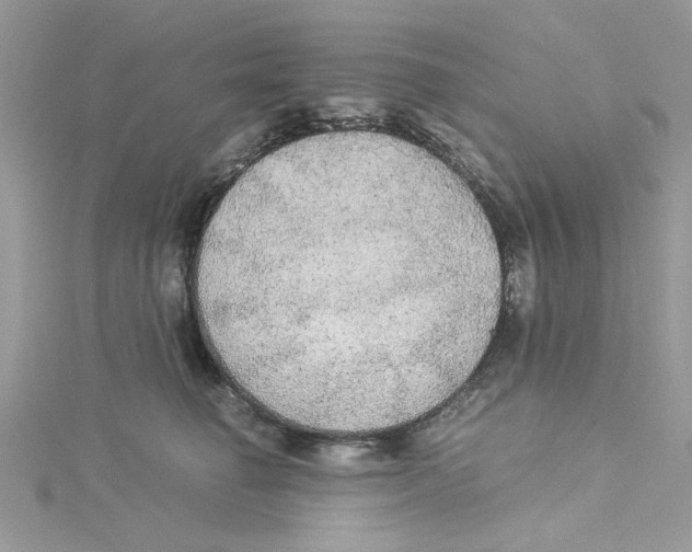 X0000114540662200911161358