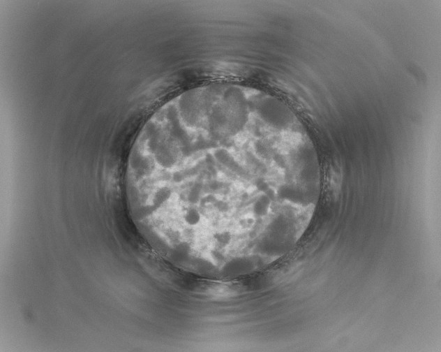 X0000114540663200911161358