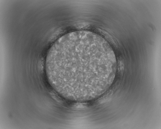 X0000114540664200911161358