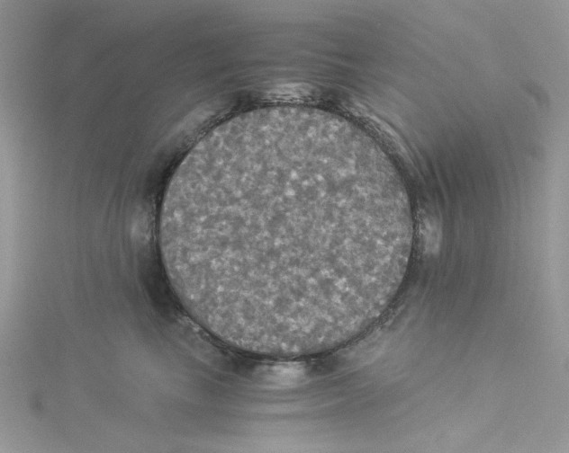 X0000114540665200911161358