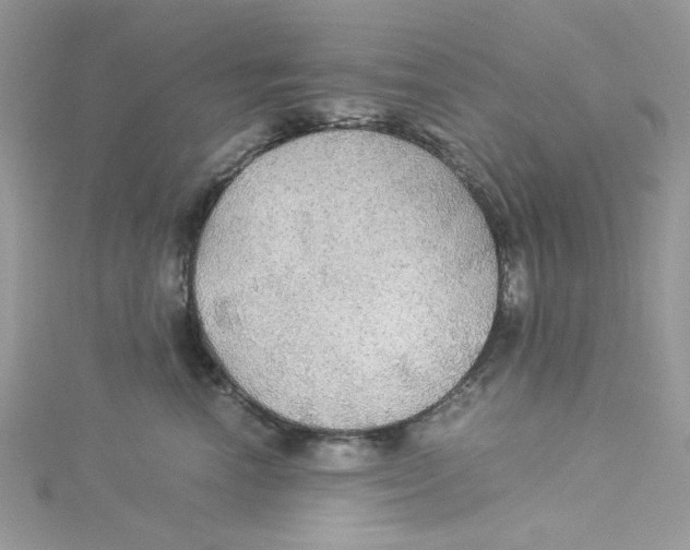 X0000114540666200911161358