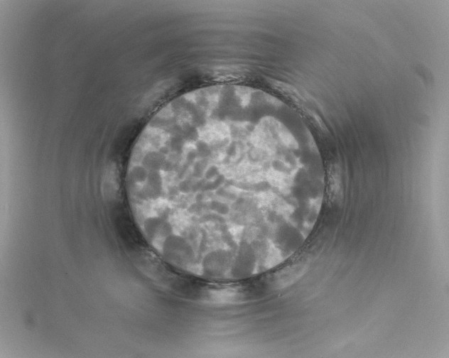 X0000114540667200911161358