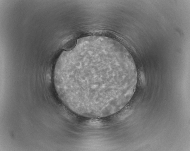 X0000114540668200911161358