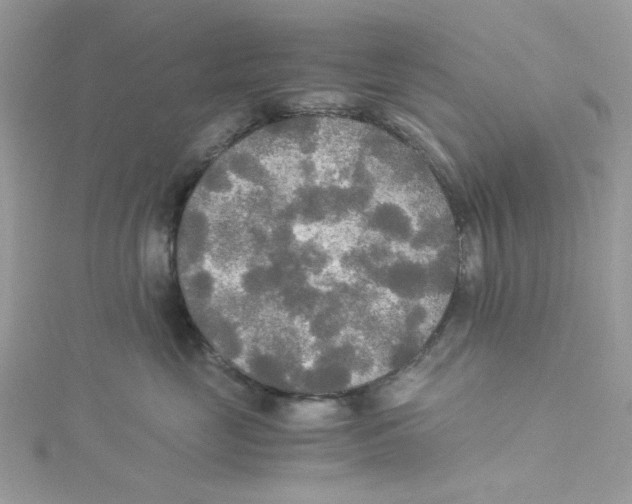 X0000114540669200911161358