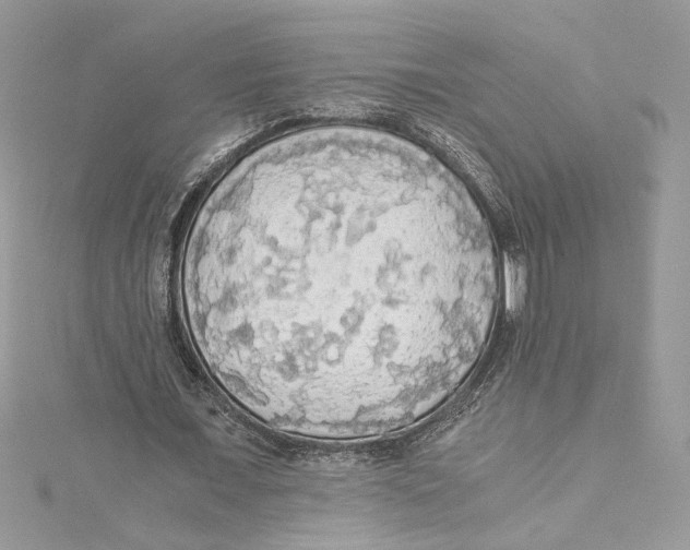 X0000114540675200911161358