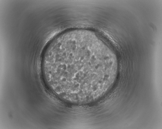 X0000114540679200911161358