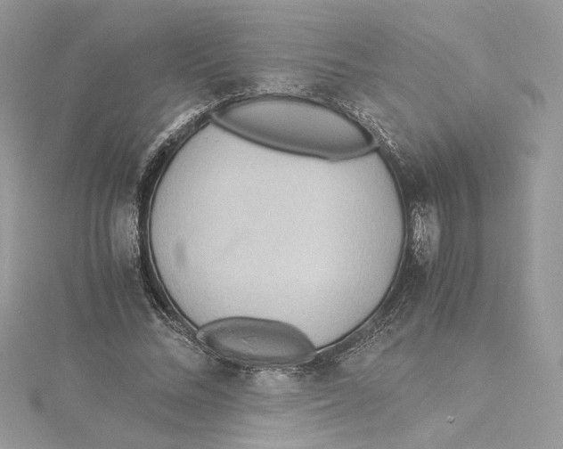 X0000114540684200911161358